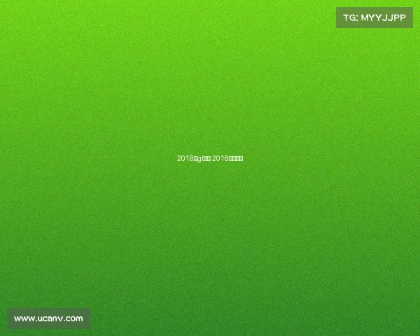 2018年gt赛事 2018赛车比赛